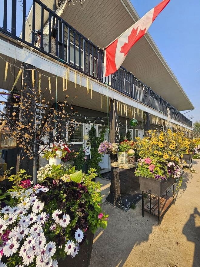 This two-story wood-frame inn has a second floor balcony that flies the Canadian flag. The ground floor is a mass of decorative icicle lights in yellow, and carts of flowers and plants.
