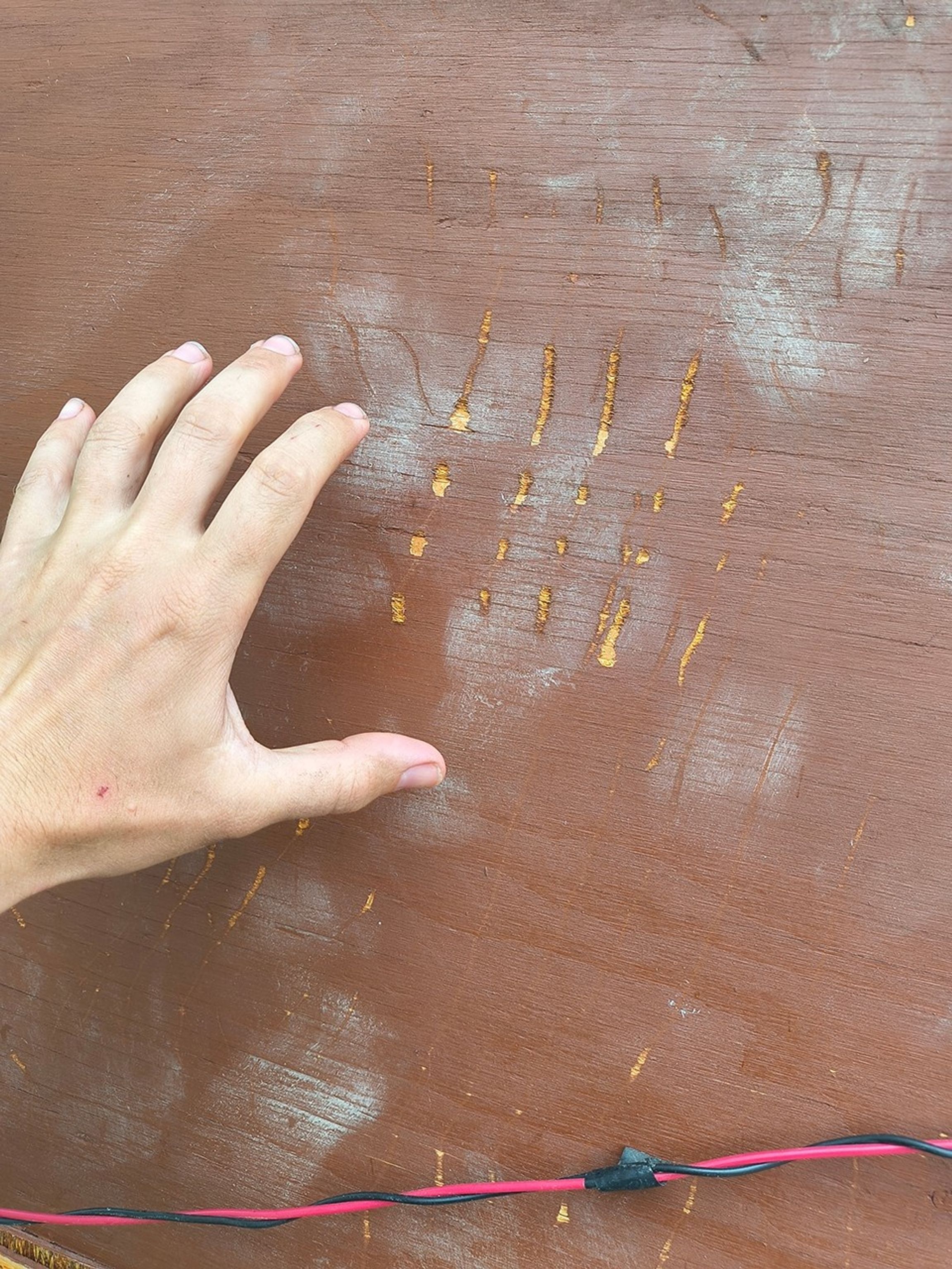 A person’s hand is stretched flat on a brick-brown painted wall, just a little larger than a bear’s claw mark: vertical gouges in the paint that each have a pointed end, then dots, as though the claw had skittered across the surface, scraping deep enough to leave this damage.