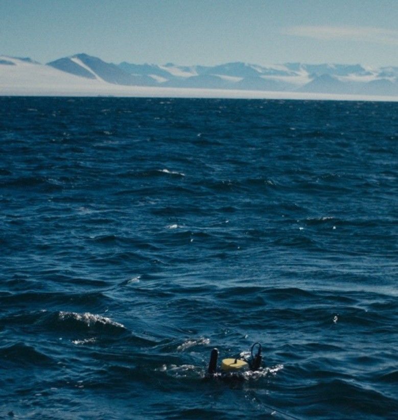 In a surging sea off the coast of tall, snow-covered mountains, a small yellow ball flanked by two dark blue uprights floats along.