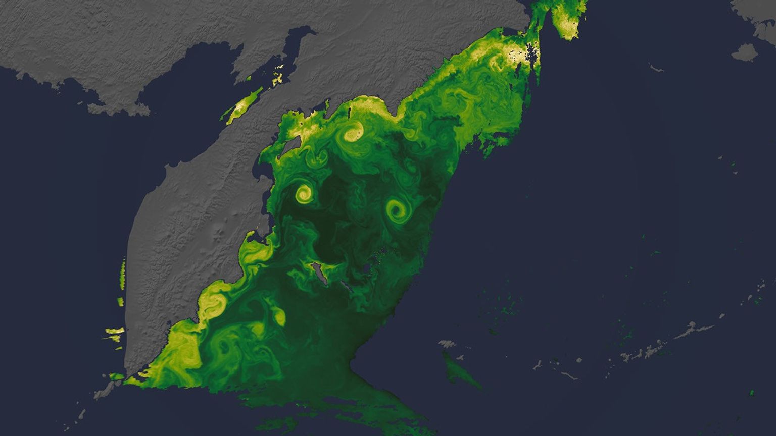 Yeni NASA Görüntüleri: Dünya, (S)PACE'den