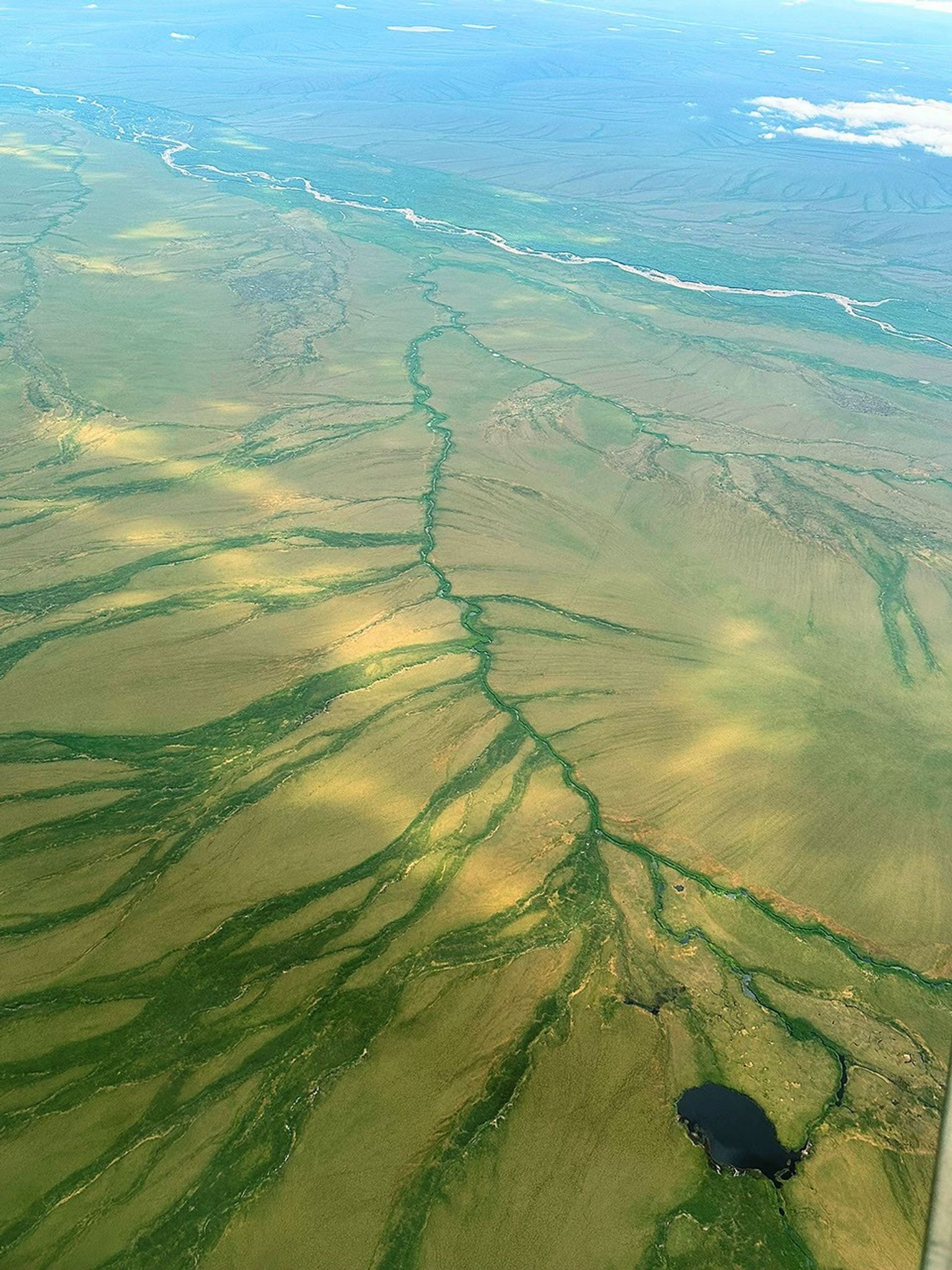 The blue-green upper portion of this photograph shows a hilly area bordered by a pale gray, winding river. N the foreground, the bright green riverway lies beside yellow-green land with narrow streams running through, their presence revealed by their green edges.