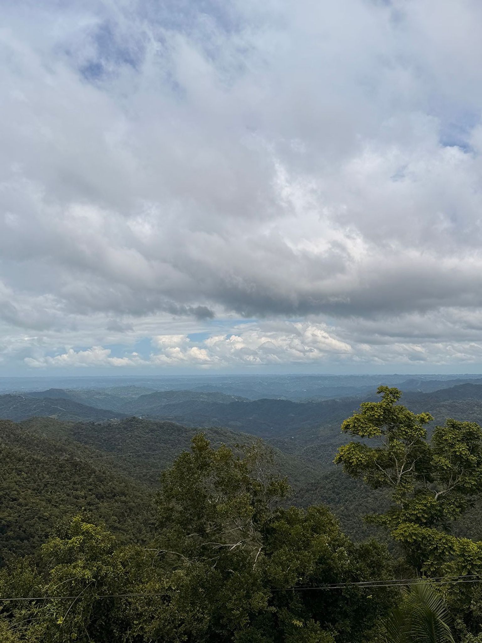 Here is the view from the highest point of an observation tower: deep green treetops, four to five ridges of mountains ranging from purple to pale blue, and a heavily clouded blue sky.  