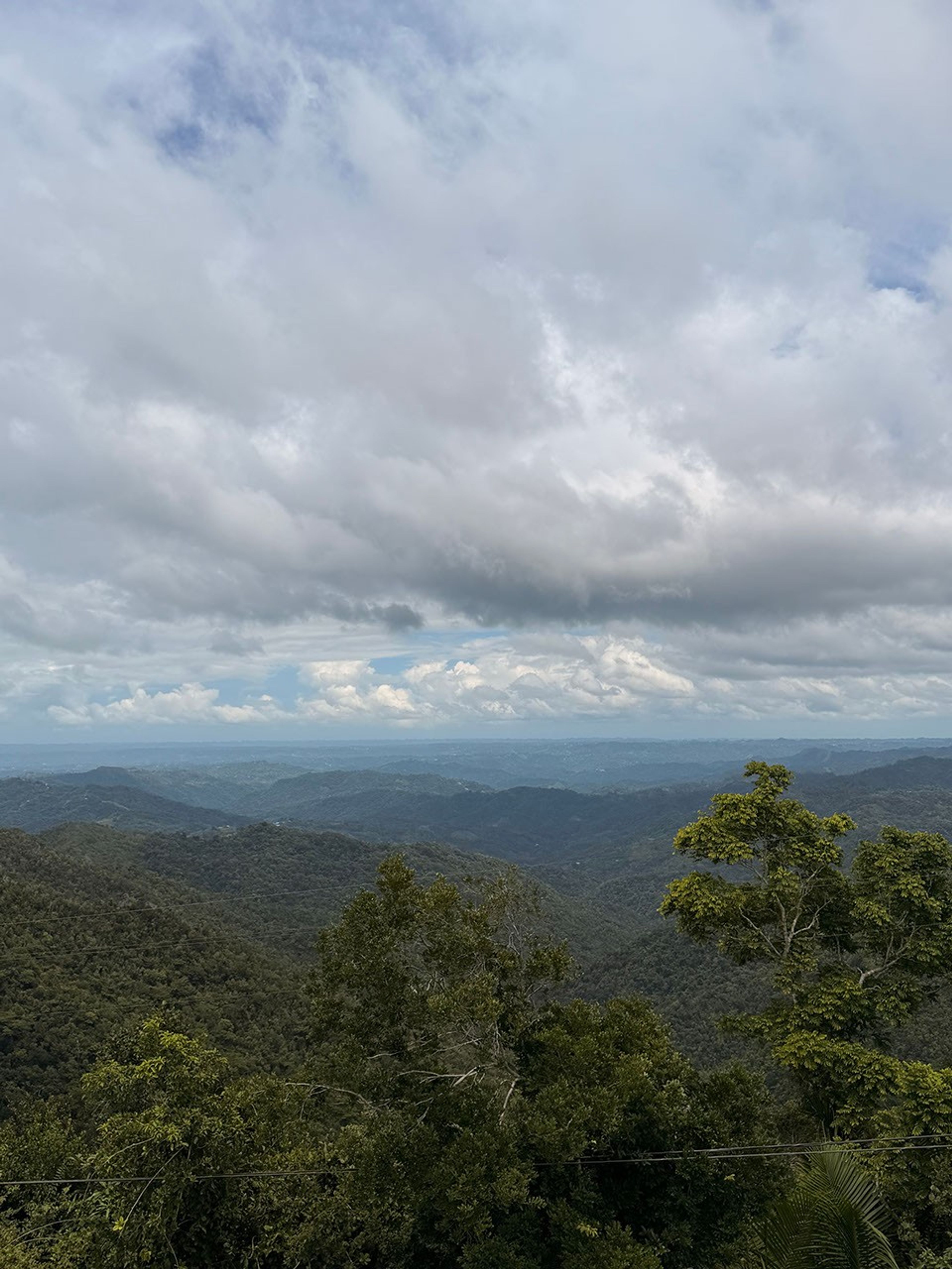 Here is the view from the highest point of an observation tower: deep green treetops, four to five ridges of mountains ranging from purple to pale blue, and a heavily clouded blue sky.
