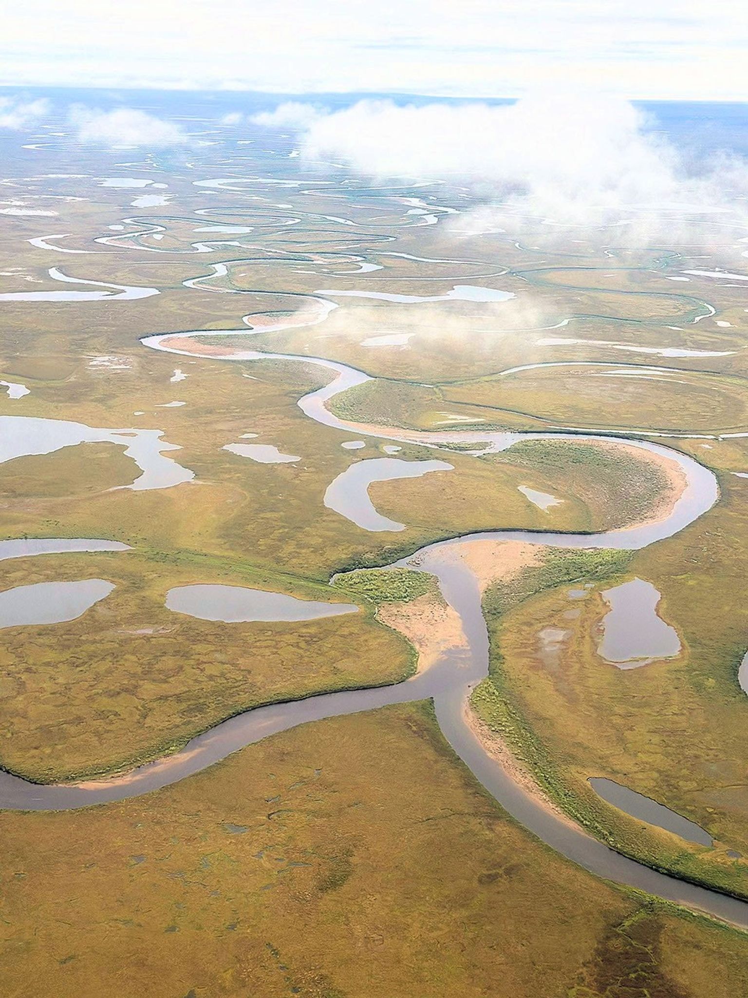 An overhead view of flat tundra in shades of green, olive, and tan that stretches away to the horizon, dotted with pale blue ponds. From top to bottom of the frame, a narrow river carves its way toward the viewer.