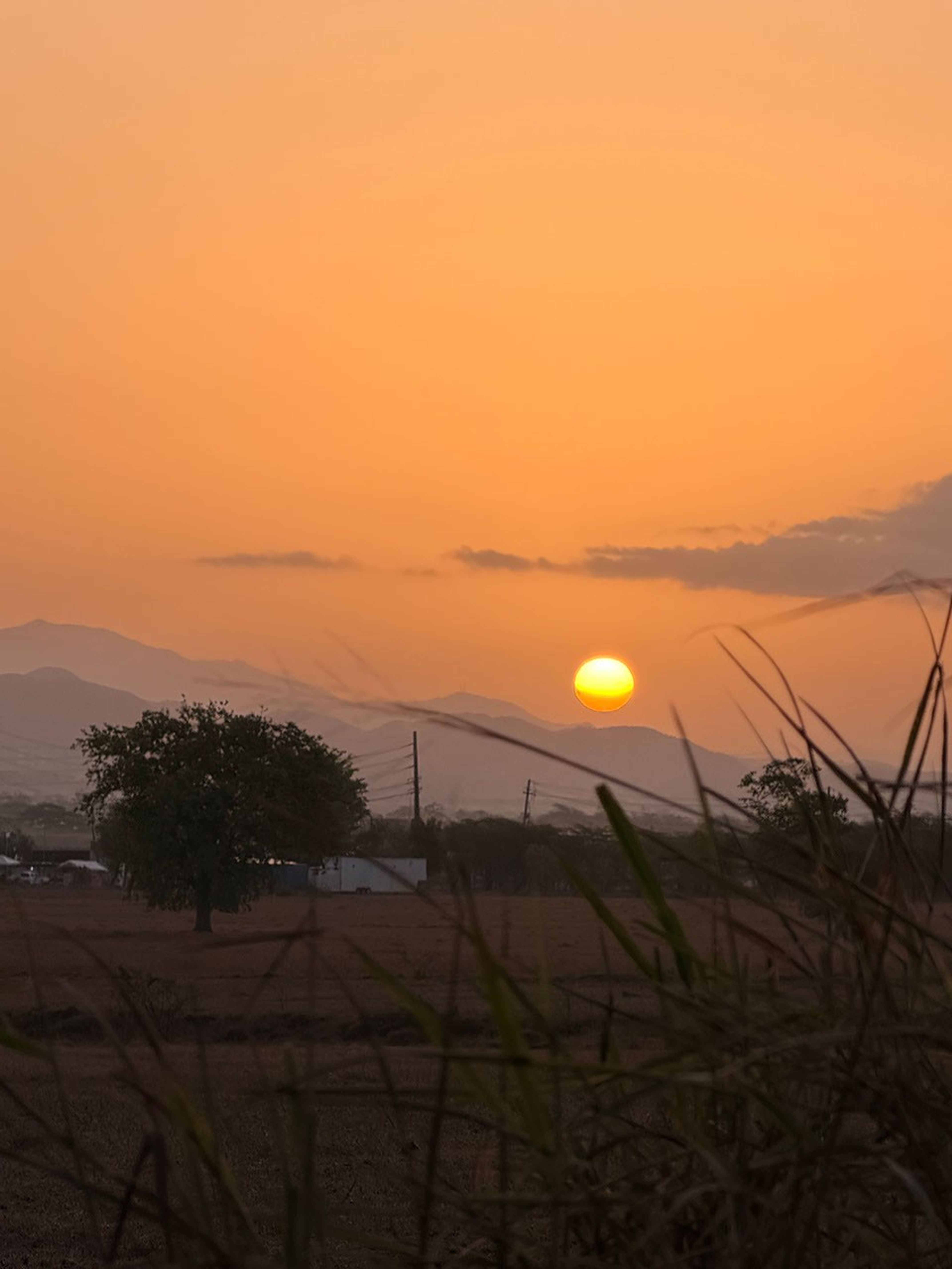 Catching the Light: Taking the Pulse of Puerto Rico’s Forests