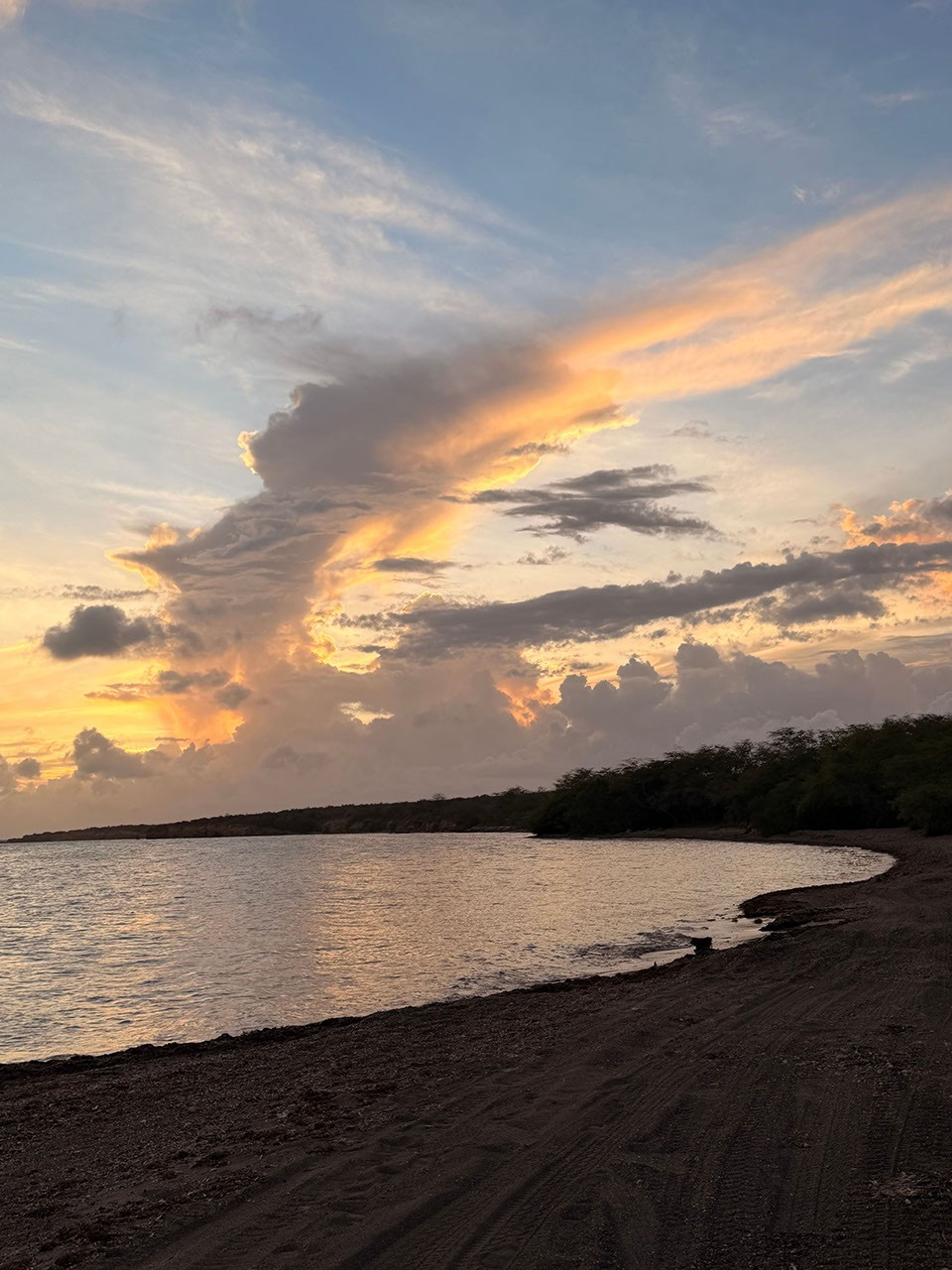 A curved cove reflects a gold, burnt orange, and lavender sunset. The mangrove forest and beach stand in deep shadow.