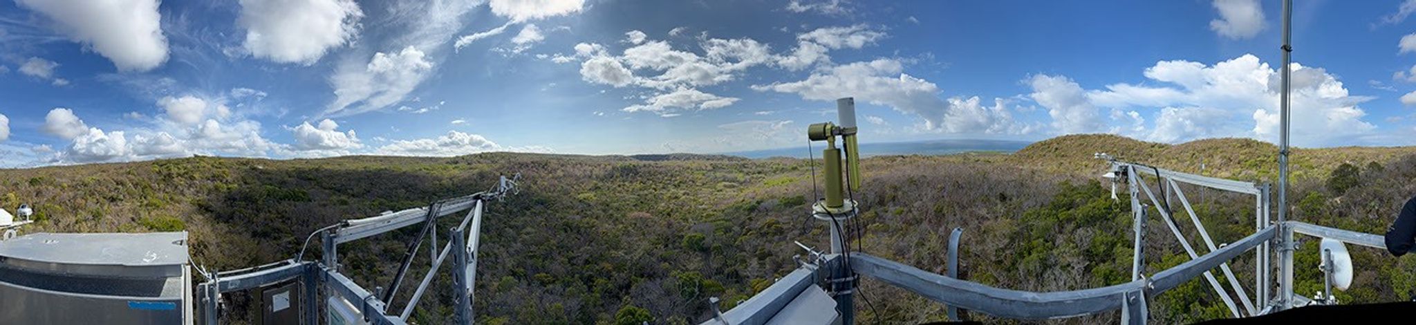Metal railings stand in the foreground of a panoramic shot of an olive- and rust-colored forest, blue mountains in the distance, and a partly cloudy sky above.  