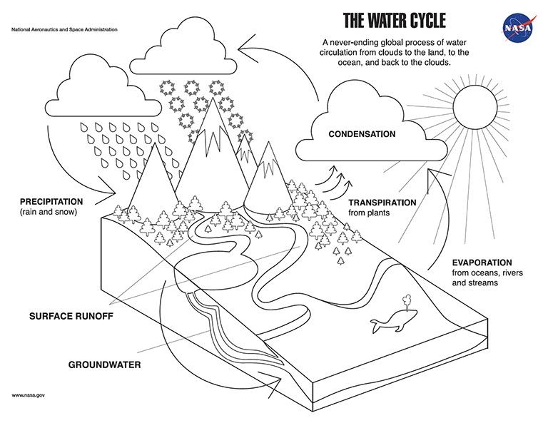 Coloring Page: The Water Cycle
