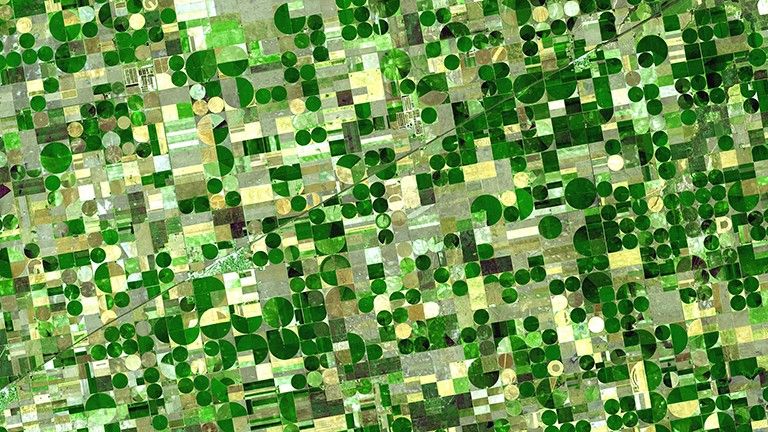 Satellite image of crop circles in Kansas