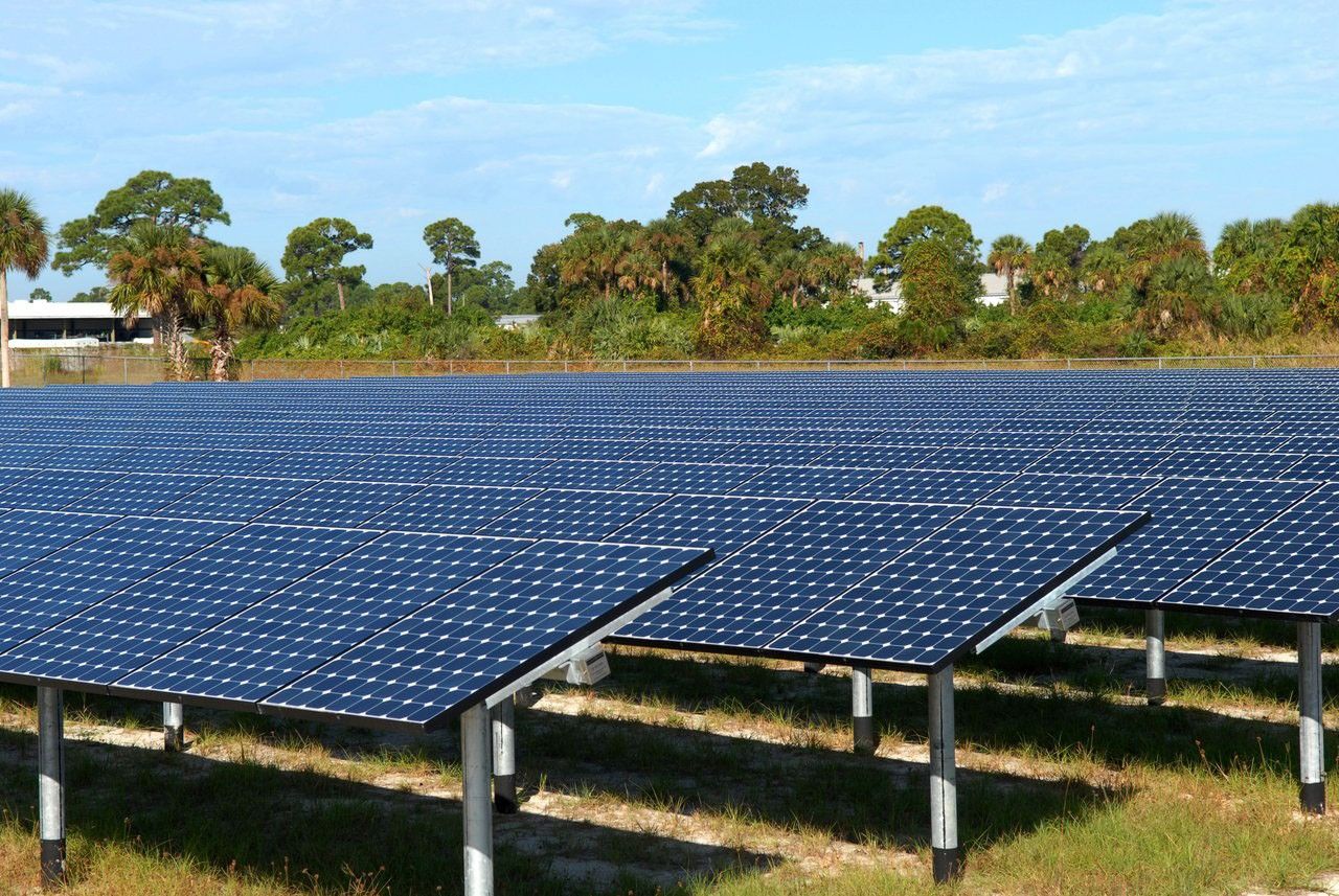 A large field of solar panels set in rows under a bright, clear sky. Trees and vegetation are visible in the background, adding a natural contrast to the technological array.