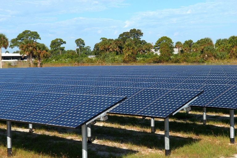 A large field of solar panels set in rows under a bright, clear sky. Trees and vegetation are visible in the background, adding a natural contrast to the technological array.