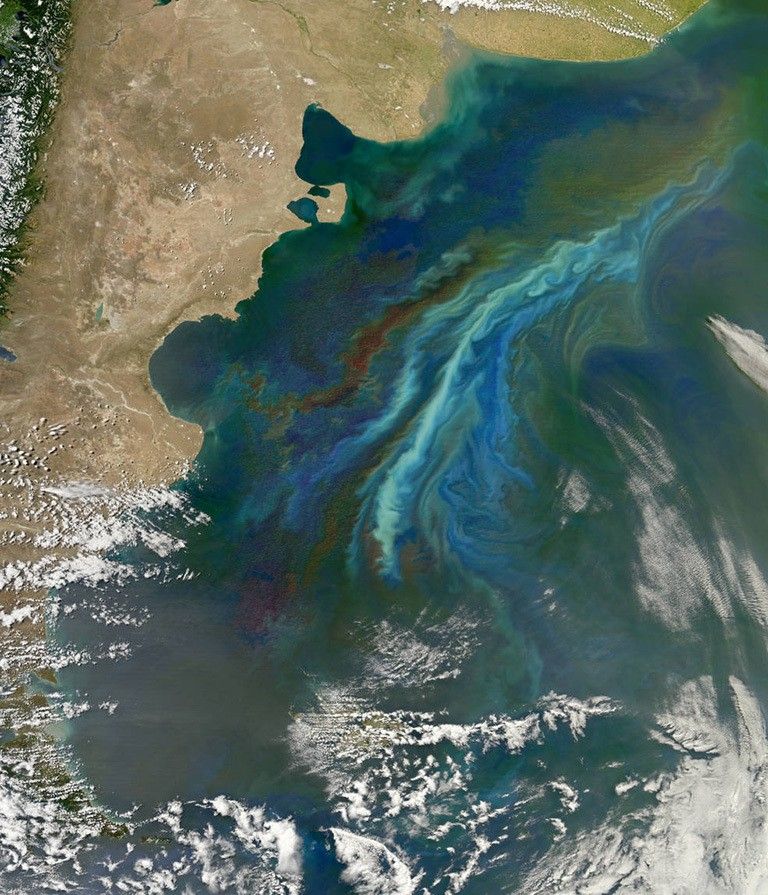 Off the coast of Argentina, two strong ocean currents recently stirred up a colorful brew of floating nutrients and microscopic plant life just in time for the summer solstice, December 21, 2010. The Moderate Resolution Imaging Spectroradiometer (MODIS) on NASA’s Aqua satellite captured this image of a massive phytoplankton bloom off of the Atlantic coast of Patagonia. Credit: NASA's Earth Observatory/Norman Kuring, Ocean Color Web.