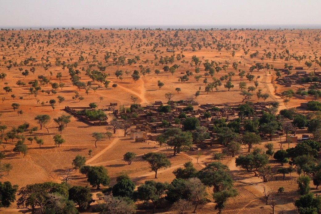 
			NASA Maps Carbon of 10 Billion Individual Trees - NASA Science			