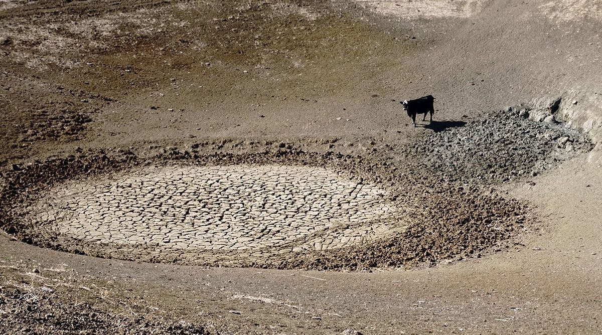 GRACE-FO will help monitor droughts - NASA Science