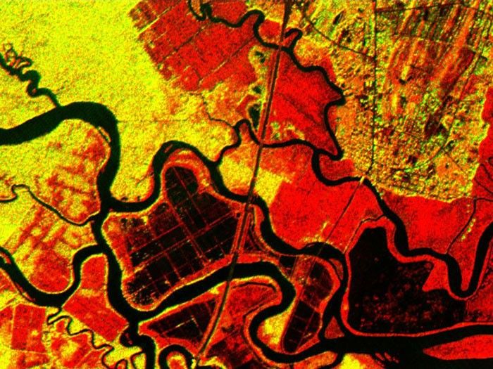 GEORGIA PATCHWORK: The history of sea islands in the Altamaha River delta on the coast of Georgia can be seen in this image. The outlines of long-lost plantation rice fields, canals, dikes and other inlets are clearly defined. Salt marshes are shown in red, while dense cypress and live oak tree canopies are seen in yellow-greens. Image taken by the Airborne Synthetic Aperture Radar (AIRSAR) on March 9, 2001.