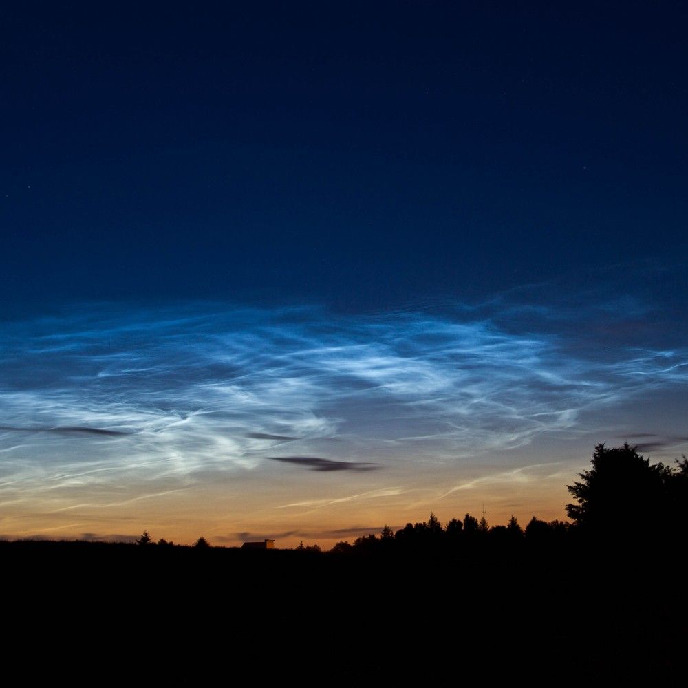 Nocturnal Wonders
