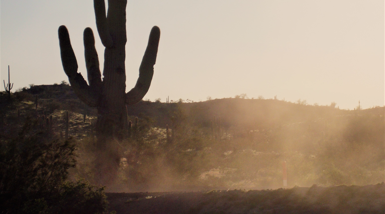 Desert dust