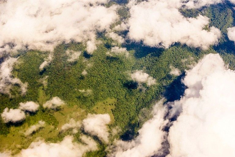 A new NASA study found that variations in cloud cover sharply delineated the boundaries of ecological biomes relevant to many unique species.