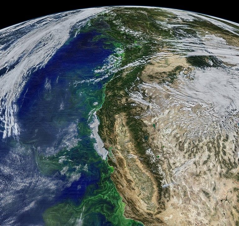 The Pacific Ocean teems with phytoplankton along the West Coast of the United States, as captured by the MODIS instrument on NASA’s Aqua satellite. Satellites can track phytoplankton blooms, which occur when these plant-like organisms receive optimal amounts of sunlight and nutrients. Phytoplankton play an important role in removing atmospheric carbon dioxide. Credit: NASA