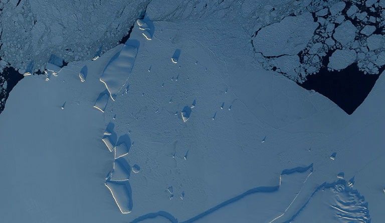 This is the East Antarctic coastline. Icebergs are highlighted by the sunlight, and the open ocean appears black. Credit: NASA. View larger image.