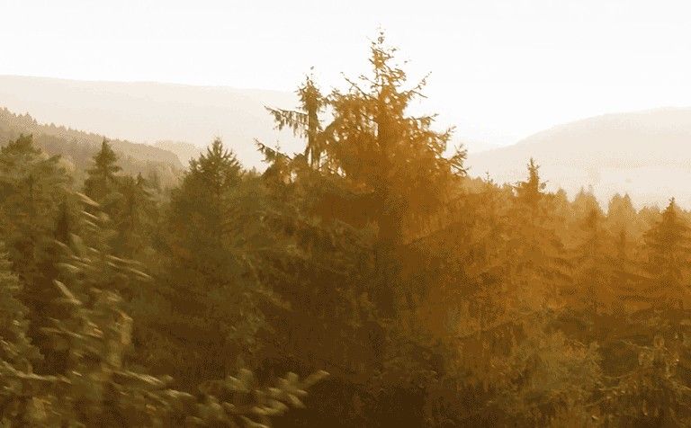 From its perch on the exterior of the International Space Station, GEDI will be the first space-borne laser instrument to measure the structure of Earth's tropical and temperate forests in high resolution and three dimensions. Credit: NASA