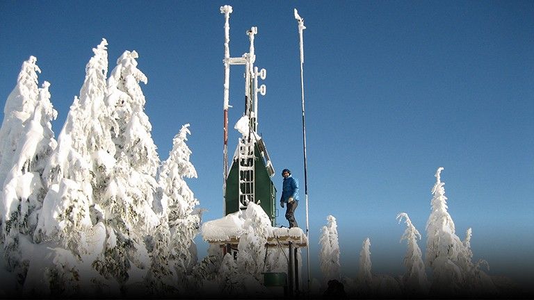 A man stands on an elevated platform surrounded by snowy trees.