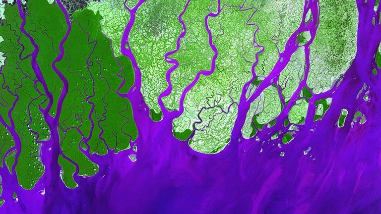 Ganges River Delta