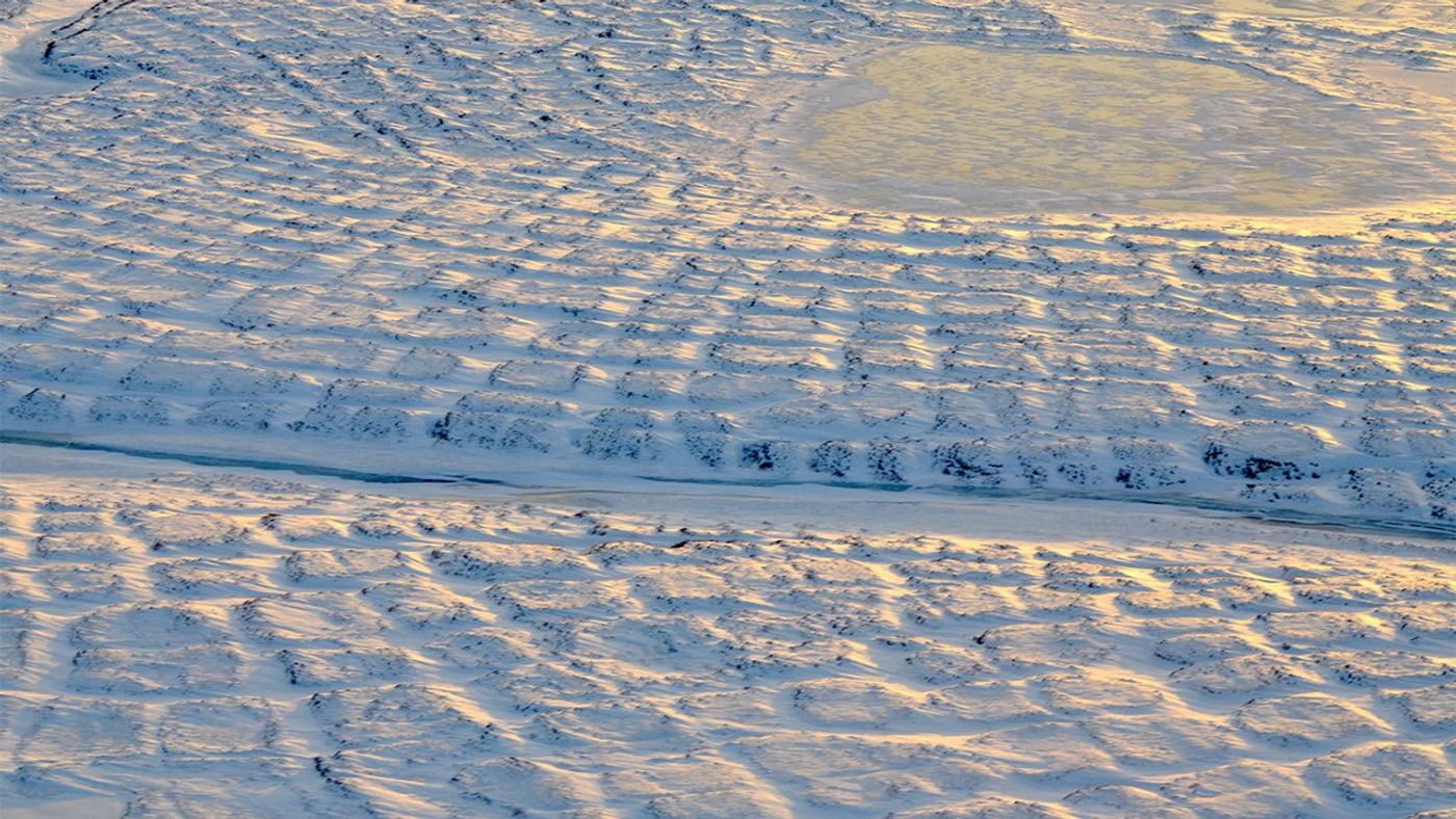 Tundra polygons on Alaska's North Slope