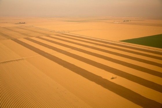 La sequía es evidente en Central Valley, California.