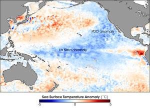 Cool waters in the tropical Pacific Ocean courtesy of La Niña, April 2008. La Niña helped make 2008 the coolest year of the last decade. The Pacific Decadal Oscillation (PDO) — a larger-scale, slower-cycling ocean pattern — can also be seen in this image, in its cool phase.Image courtesy of NASA's Earth Observatory; taken by the Advanced Microwave Scanning Radiometer for EOS (AMSR-E) on NASA's Aqua satellite.