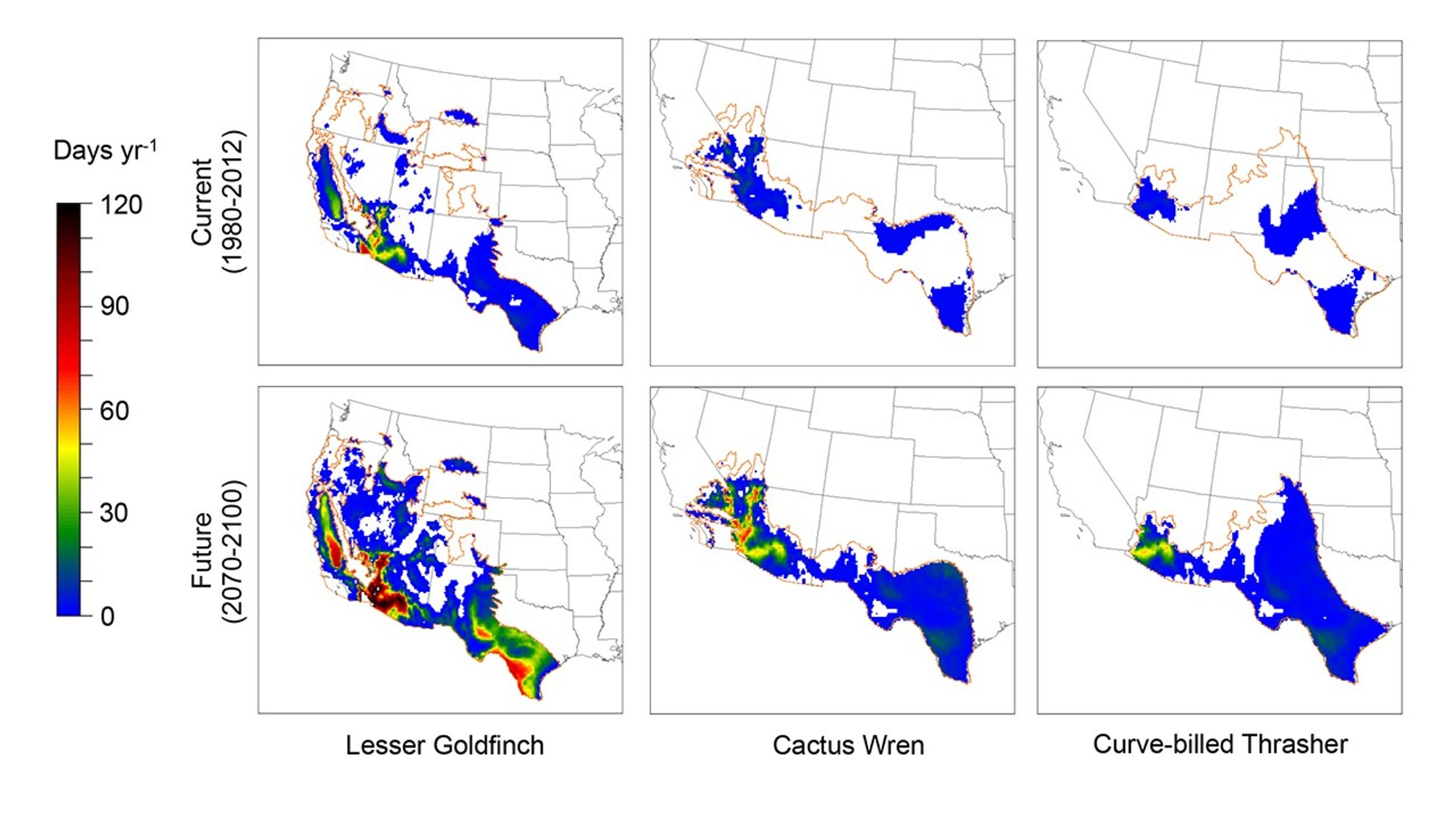 lethal_dehydration_songbird