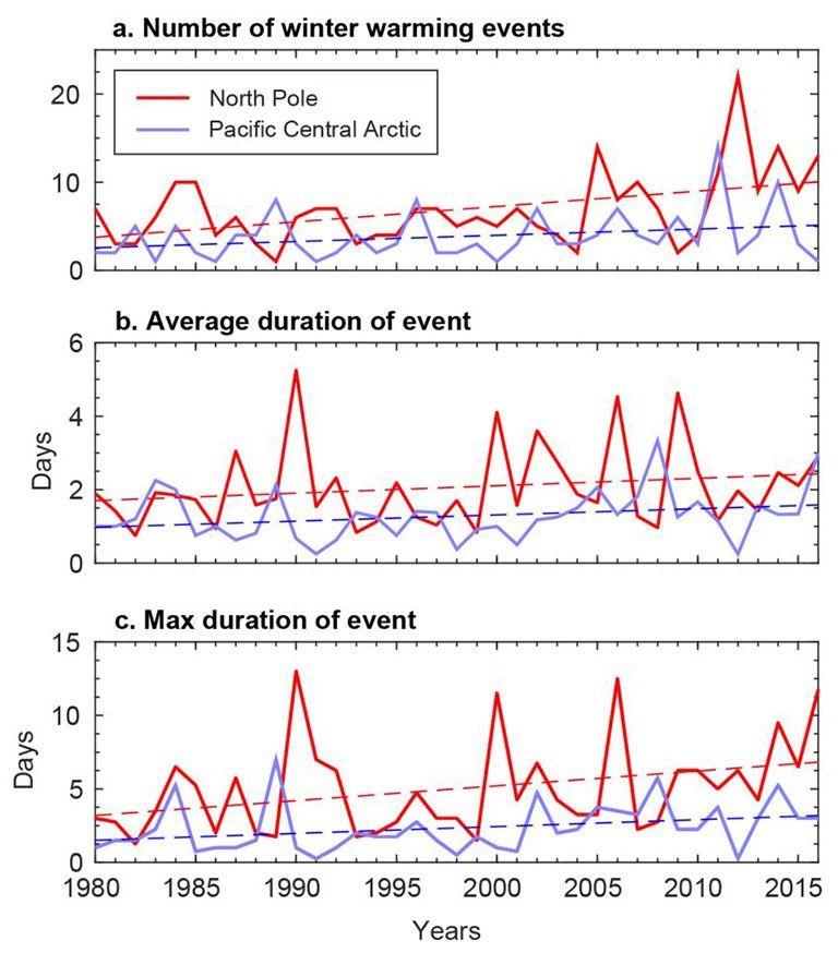 Winter warming events