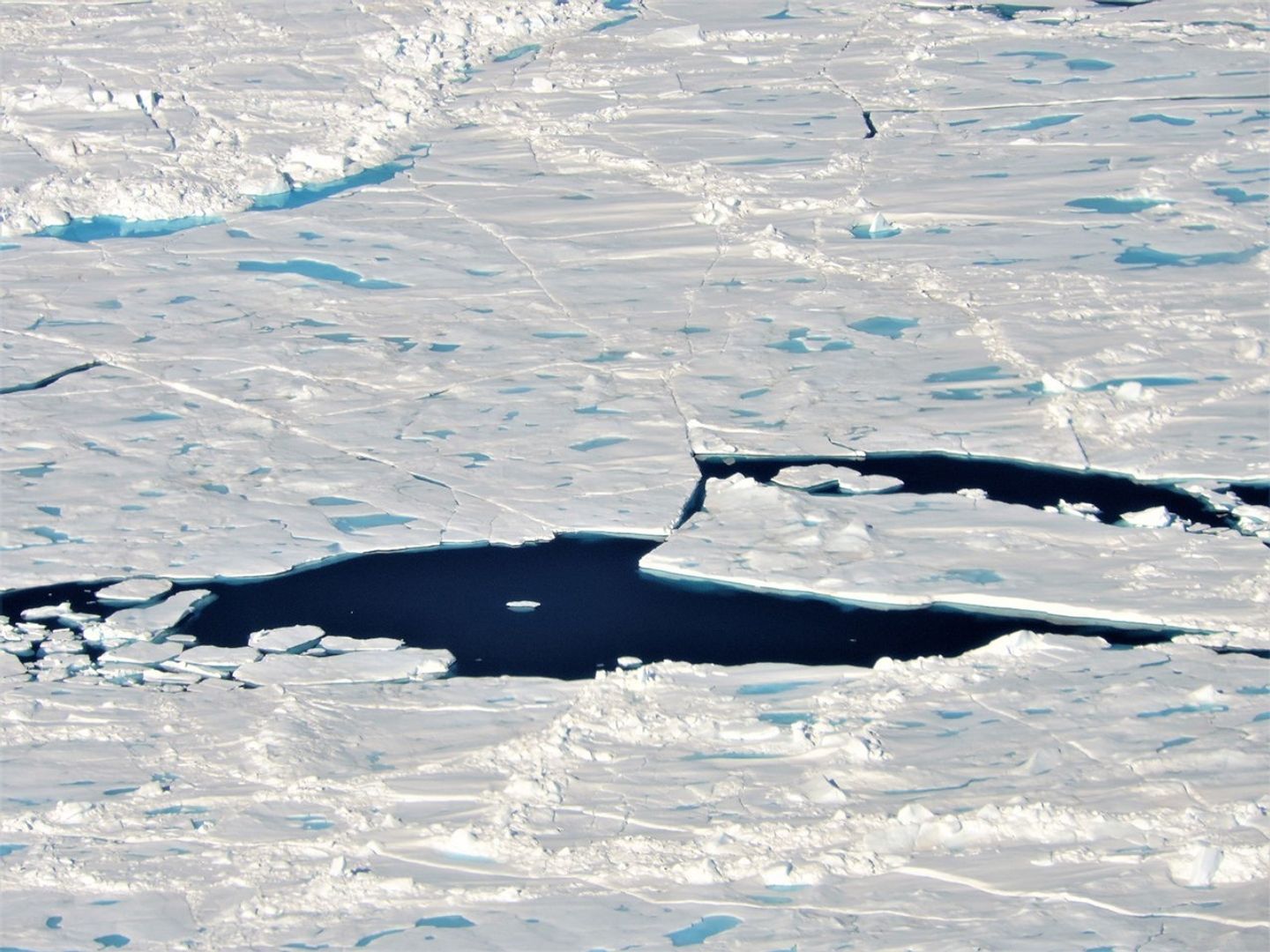 Sea ice floes with melt ponds in the Arctic Ocean north of Ellesmere Island, Canada.
