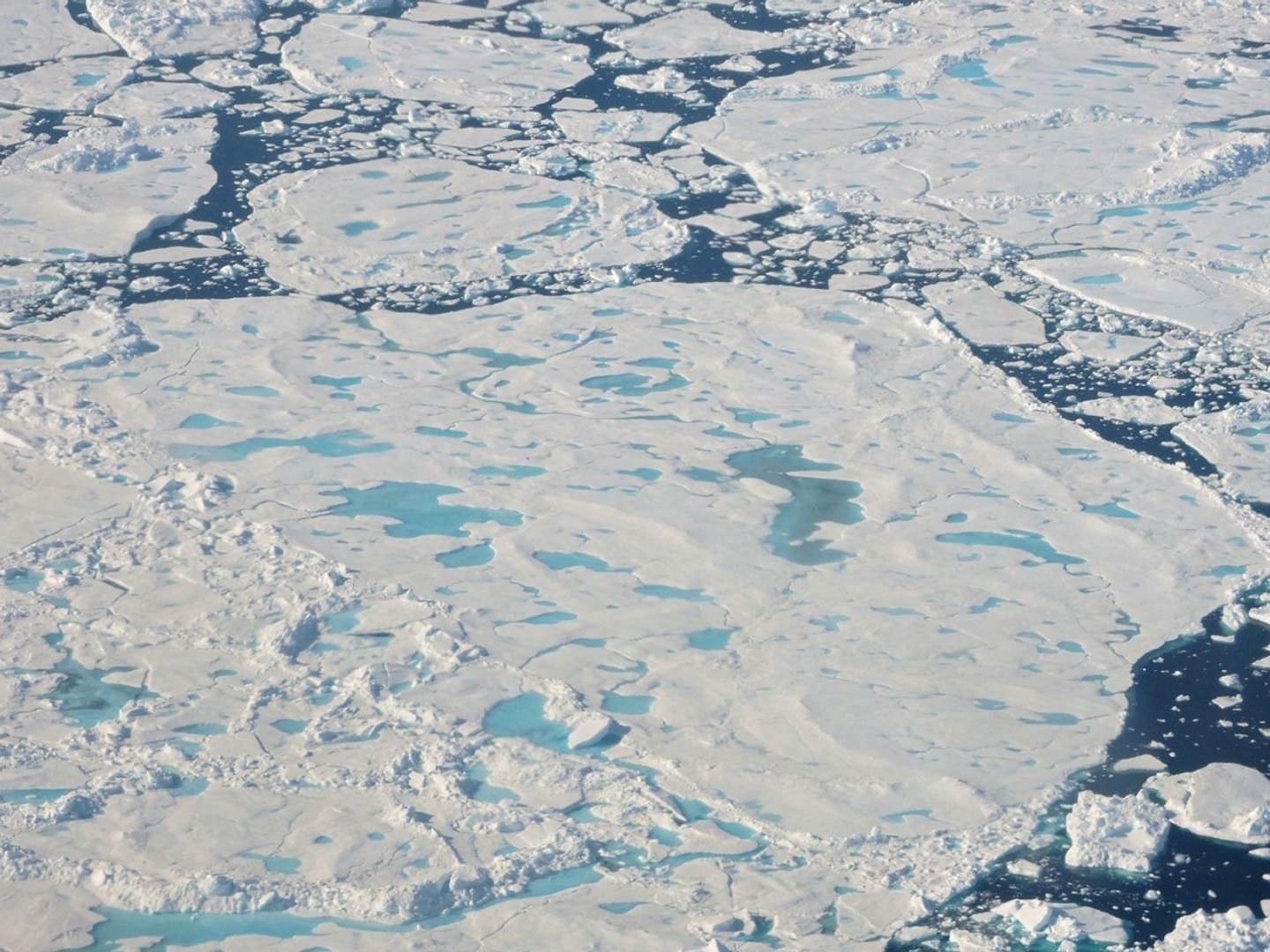 A collection of broken up sea ice floes of various sizes, floating north of Greenland.