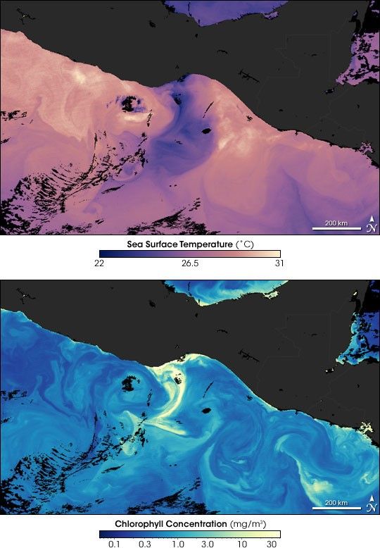 Temperature and chlorophyll data show concentrations around Tehuantepec, Mexico.
