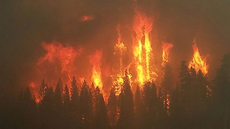 While the Sun has played a role in past climate changes, for example, a decrease in solar activity- coupled with increased volcanic activity- helped trigger the Little Ice Age, the evidence shows the current global warming of Earth’s climate cannot be explained by the Sun. 