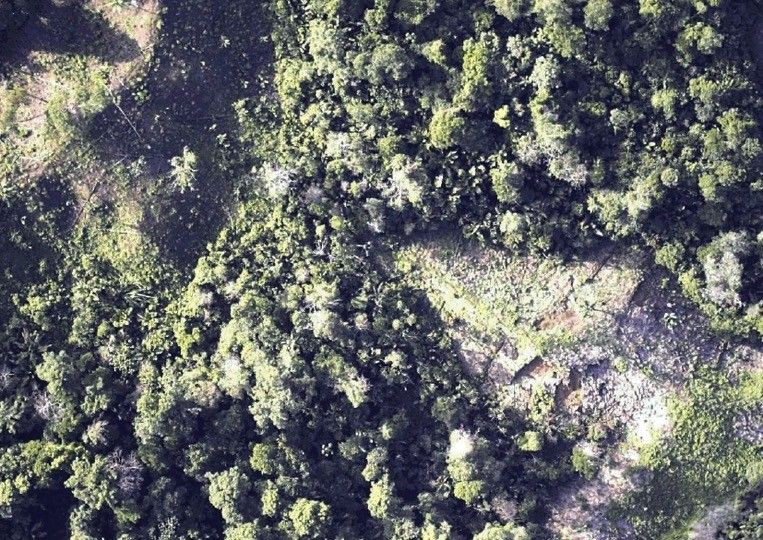 Areas of degraded rainforest in the Democratic Republic of Congo