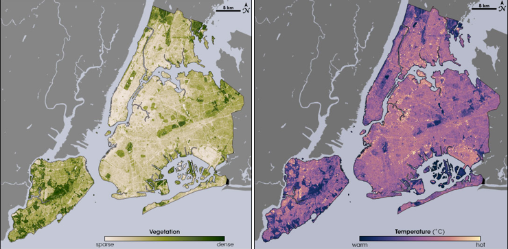 urban heat island nyc