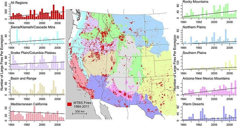 Trends in the annual number of large fires in the western United States for a variety of ecoregions from 1984-2011.