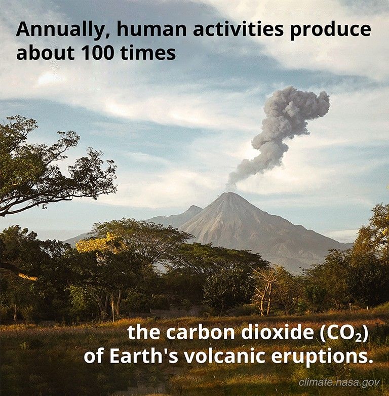 Image of trees in the foreground and a volcano in the background, with a smoke plume coming out of it