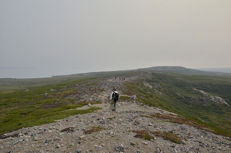 Dan Hodkinson, a field operations manager with NASA’s Carbon Cycle and Ecosystems Office, and other NASA researchers hike to remote locations to measure the condition of vegetation in the Arctic tundra of Canada's Northwest Territories. The ground measurements will be used to validate satellite data to give researchers more insight into how climate change is influencing the northern ecosystems. Credit: NASA/Peter Griffith.