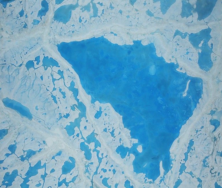 Arctic sea ice IceBridge melt pond