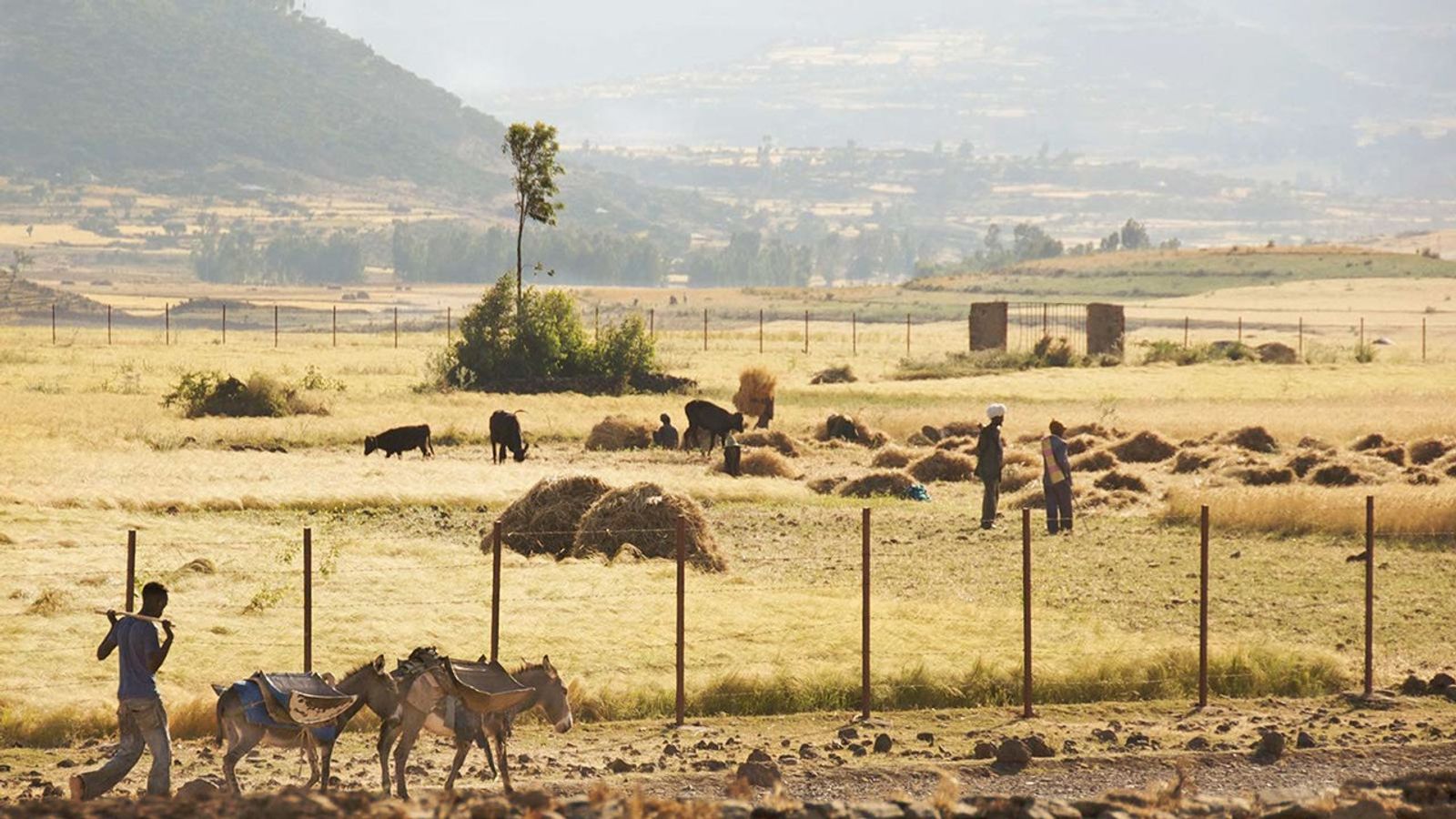 The African Sahel
