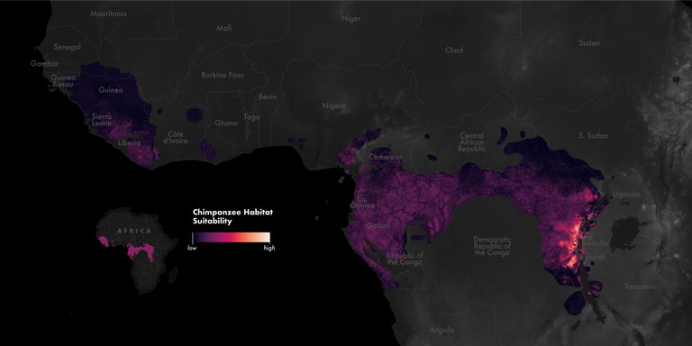 A hotspot map over Central Africa showing the distribution of chimpanzee sustainable habitats.