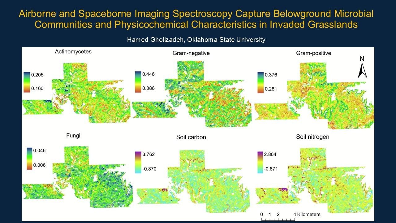 Remote sensing data successfully detected and mapped belowground properties, such as soil microbial communities and soil carbon and nitrogen, by using aboveground vegetation signals as proxies. The findings reveal that invasive plant cover significantly alters belowground ecosystems, increasing soil carbon and nitrogen while shifting microbial community composition.