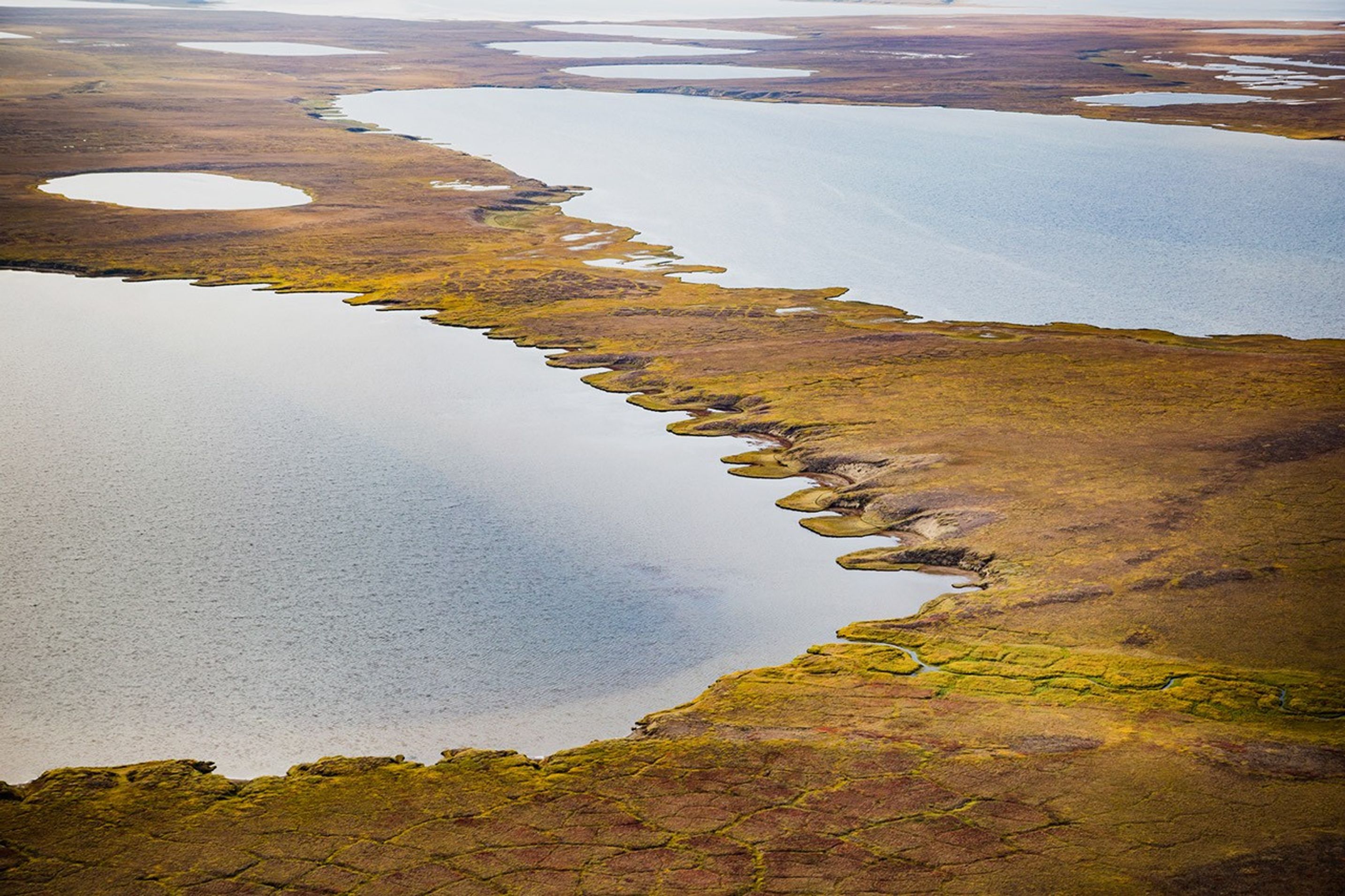 Scalloped pond edges are surrounded by short brown, green, and yellow vegetation.