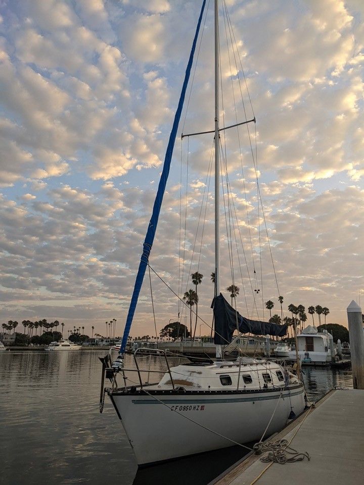 A sailboat tied up to a dock with palm trees in the background.