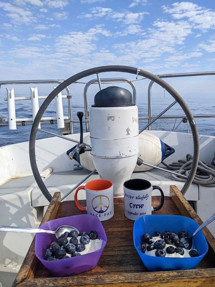 Two bowls of blueberries and yogurt and two cups of coffee on a sailboat in the water.