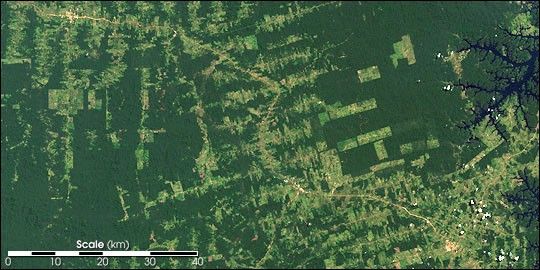 Land Conversion Amazon From Forest to Field: How Fire is Transforming the Amazon - NASA Science