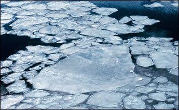 Photograph of pancake ice.